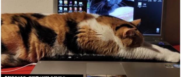 150098226_3774951019193297_3279951104632393624_n